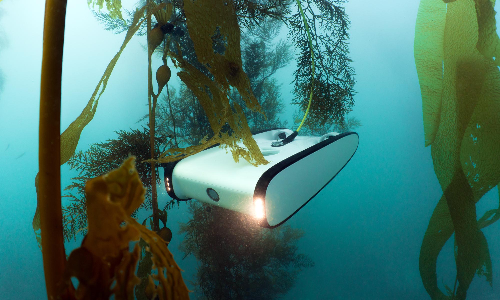 OpenROV Trident exploring kelp field.